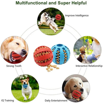 Intelligence Toy for Dogs