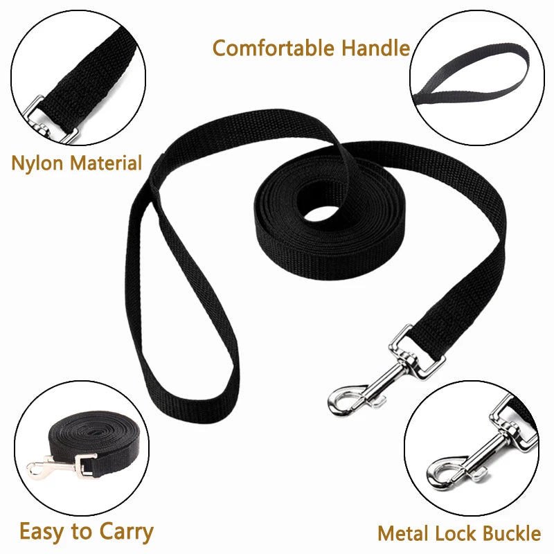 Lange Nylon Hundeleine 10m–20m – Robuste Trainingsleine für kleine & große Hunde