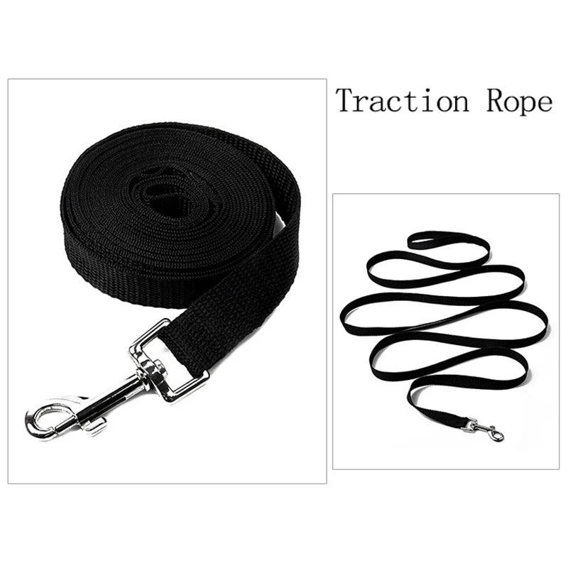 Lange Nylon Hundeleine 10m–20m – Robuste Trainingsleine für kleine & große Hunde