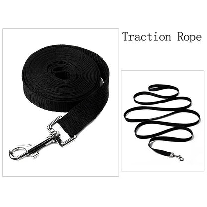 Lange Nylon Hundeleine 10m–20m – Robuste Trainingsleine für kleine & große Hunde
