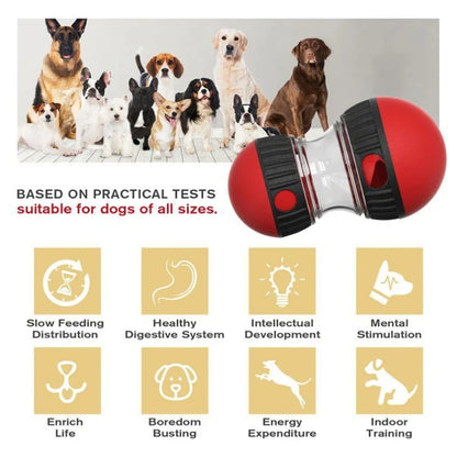 Interaktives Intelligenzspielzeug für Hunde & Katzen – Fördert Spiel & Konzentration