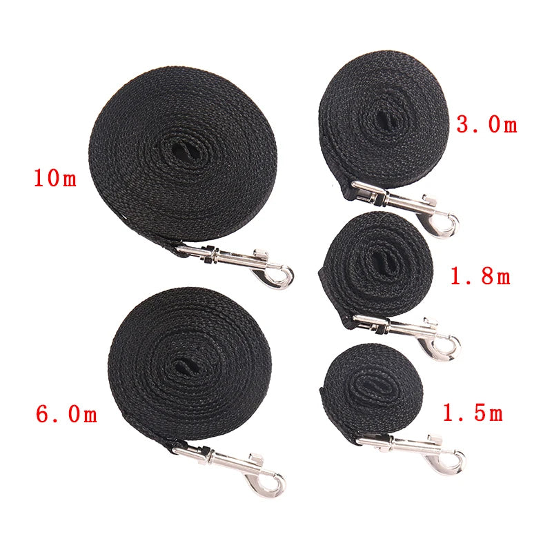 Lange Nylon Hundeleine 10m–20m – Robuste Trainingsleine für kleine & große Hunde